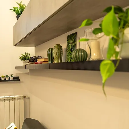 The Modern Nest Apartment